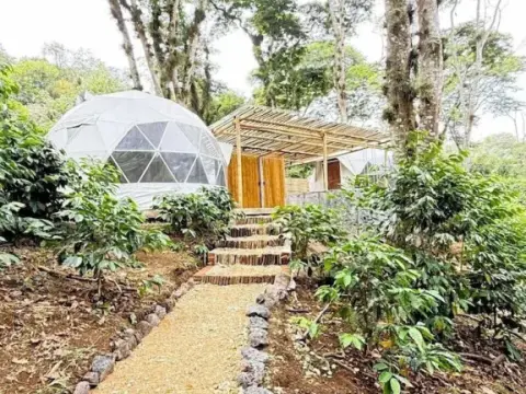 Alma Glamping - Photo 4