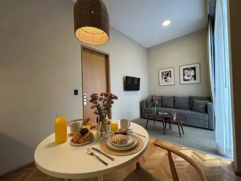 Ana Polanco Apartments - Photo 3