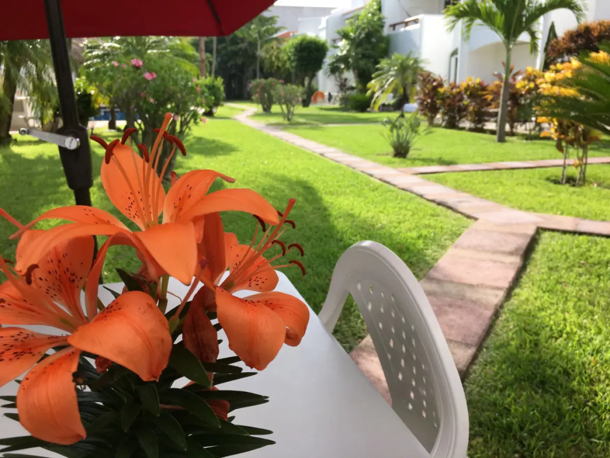 Playa OnTime Apart-Hotel