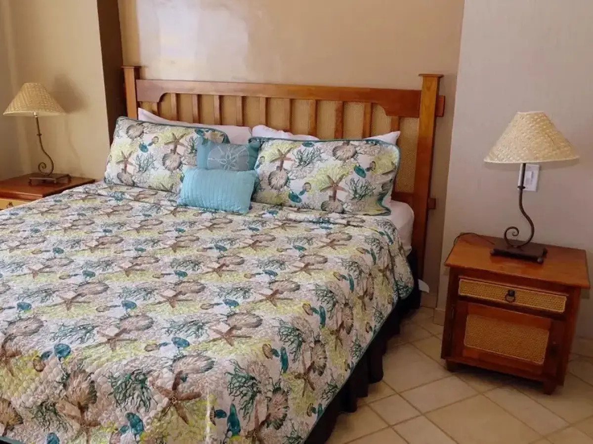 Baja 204 - 2 Br Condo