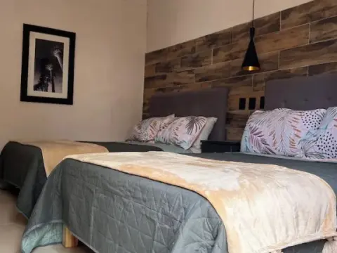 Black Tree Hotel Boutique - фото 3