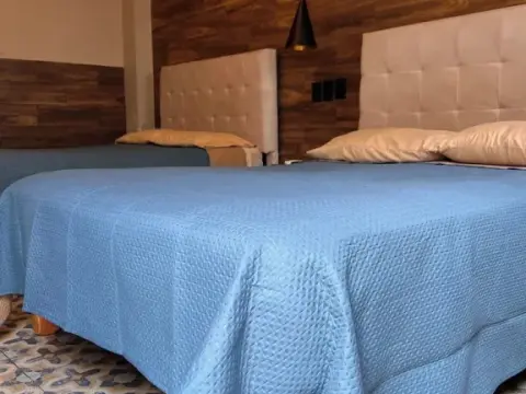 Black Tree Hotel Boutique - фото 4