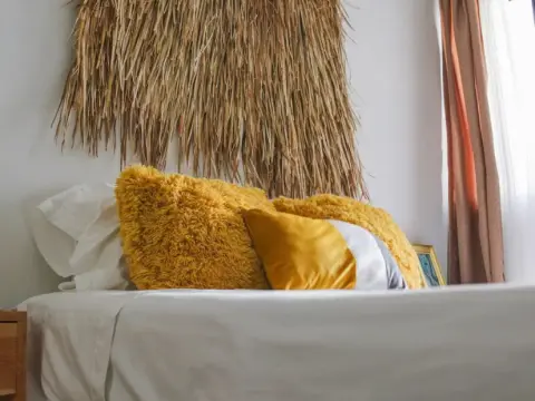 Bokatrip Xochimilco - Photo 2