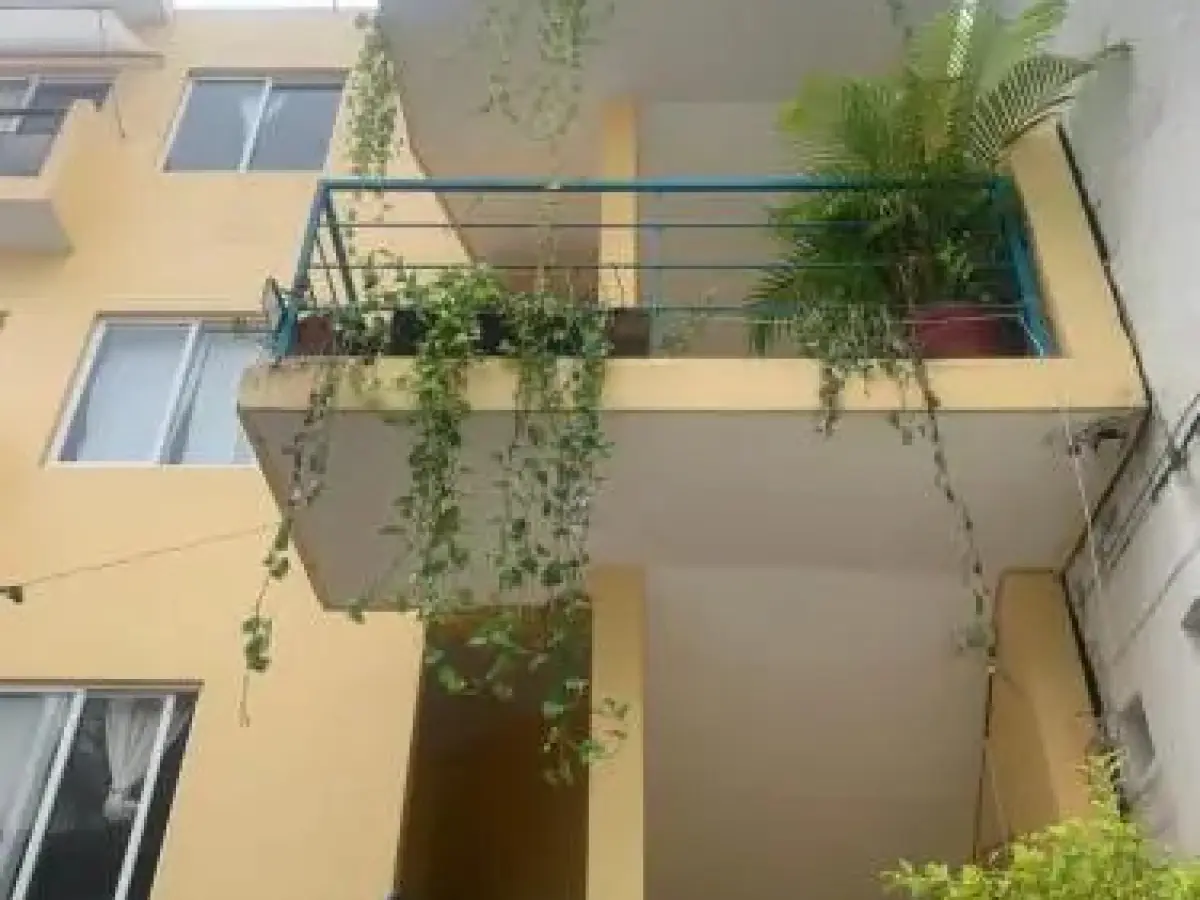 Bonobo Surf House