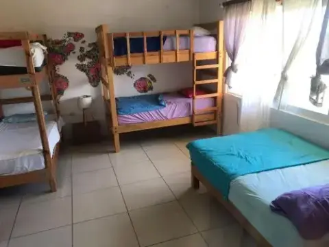 Bonobo Surf House - Photo 4