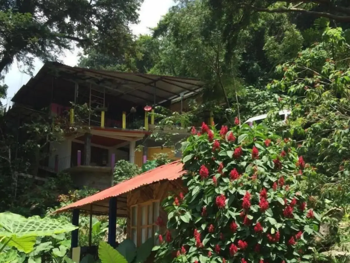 Cabañas y Casas del Árbol La Huerta