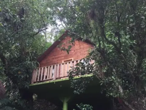 Cabañas y Casas del Árbol La Huerta - Photo 4