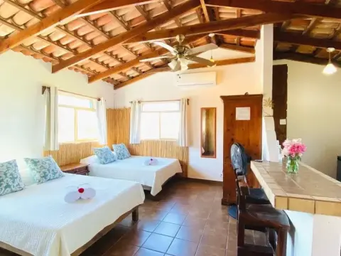 CABO BOHEMIA Tropical Garden Studios - Photo 3