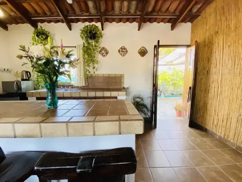 CABO BOHEMIA Tropical Garden Studios - Photo 2