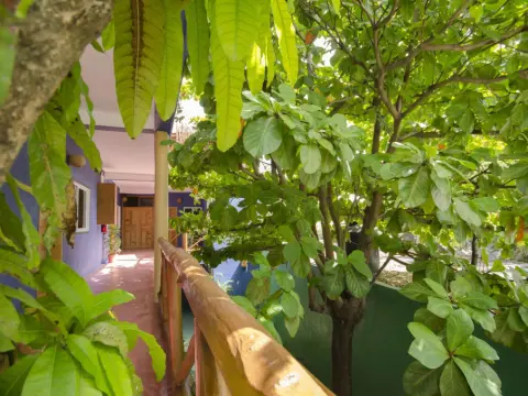 Casa Almendro - Photo 3