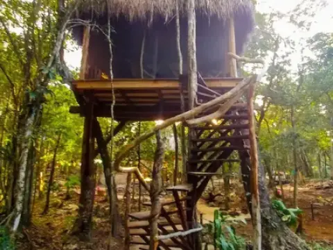 Casa Aztlan - Photo 4