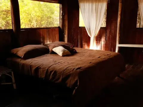Casa Selva de Luz - Photo 1