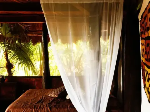 Casa Selva de Luz - Photo 2