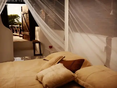 Casa Selva de Luz - Photo 3