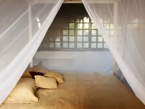 Casa Selva de Luz - Photo 4