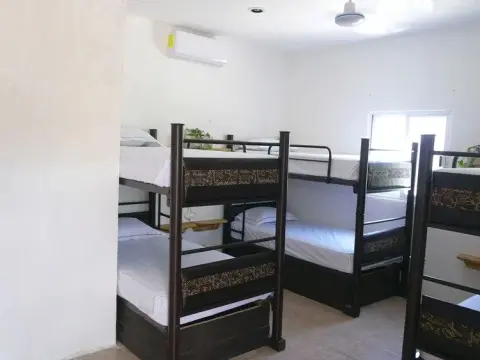 Coelum - Hostel - Photo 3