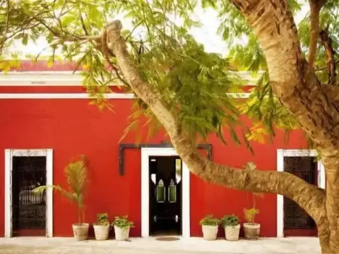 Coqui Coqui Meson de Malleville - Valladolid - Photo 1