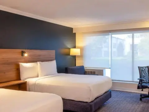 Courtyard Toluca Airport - Photo 3