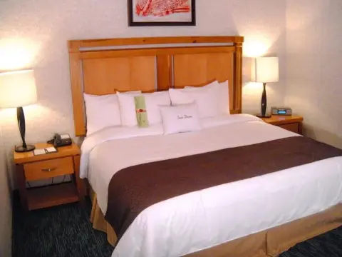 DoubleTree Suites by Hilton Saltillo - Photo 4