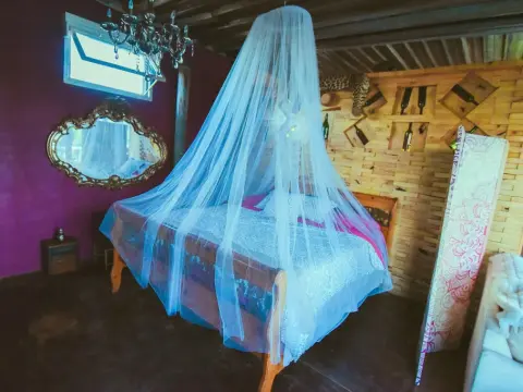 Ecléctico Guadalupe - Photo 2