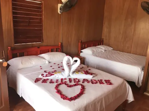 Eco-Cabañas Jami & Jam - Foto 2