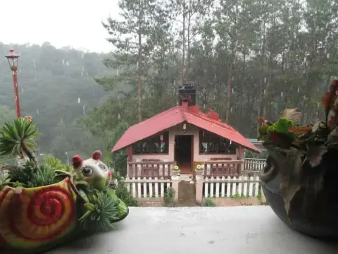 El Mirador - Photo 2