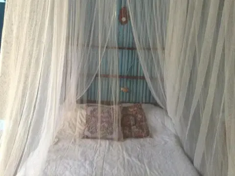 El Zapote - Photo 4