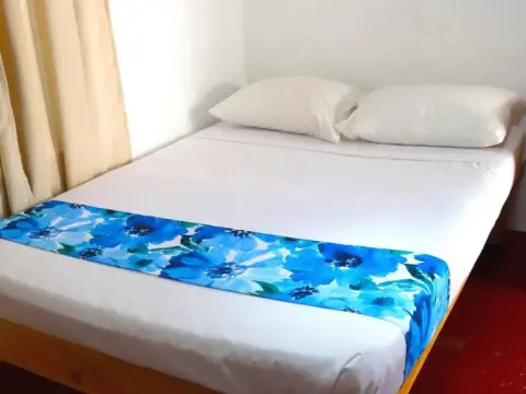 Frida Paradise - Photo 3