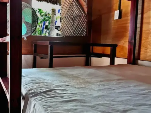 Frida Paradise - Photo 4