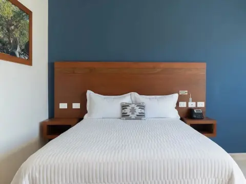 Gamma Los Cabos - Photo 3