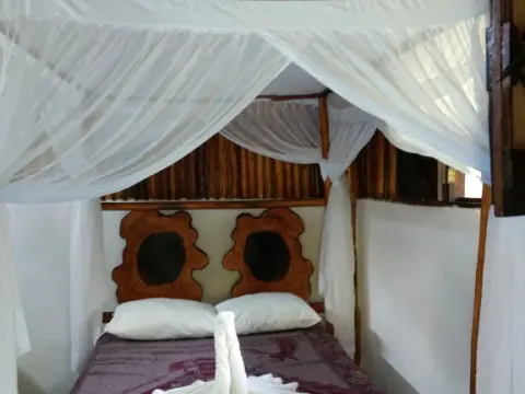 Green Tulum Hotel - Photo 3