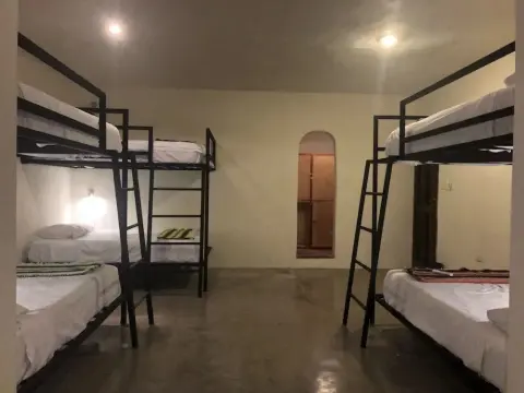 Hostal Inn - Hostel - Photo 2