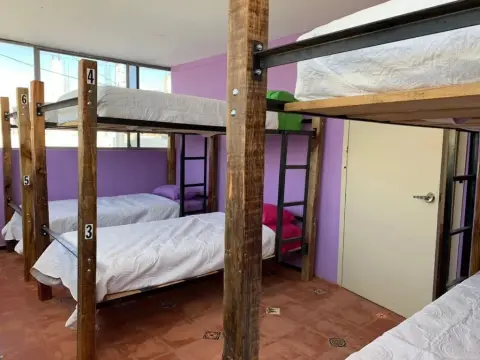 Hostal Mejiquito San Marcos - Hostel - Foto 2