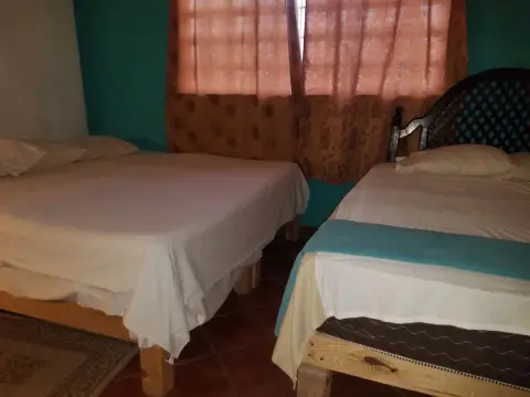 Hostel Enjoy Vallarta 19 - Photo 2