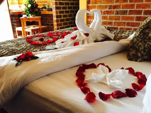 Hotel y Cabañas Alan Prince - Photo 3