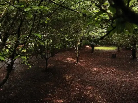 Hotel Bosques del Sol Suites - Photo 4