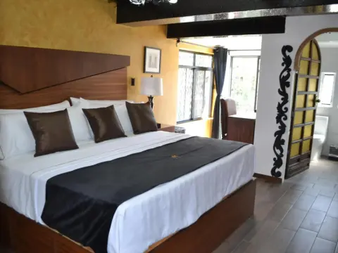 Hotel Boutique La Mansion Guadalajara - Photo 3