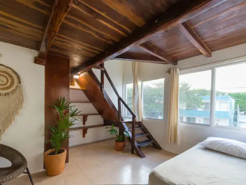 Hotel Caracol Puerto Morelos - Photo 3