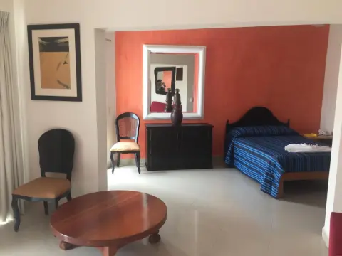 Hotel Casa del Parque Vallarta - Photo 4