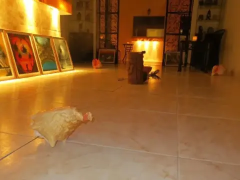 Hotel Casa Yucatan - Photo 4