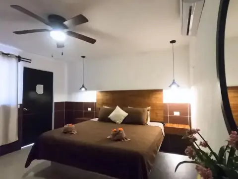 Hotel en Holbox Capis House - Photo 3