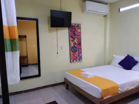 Hotel Flor - Photo 2