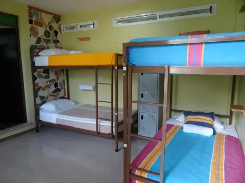 Hotel Flor - Photo 3