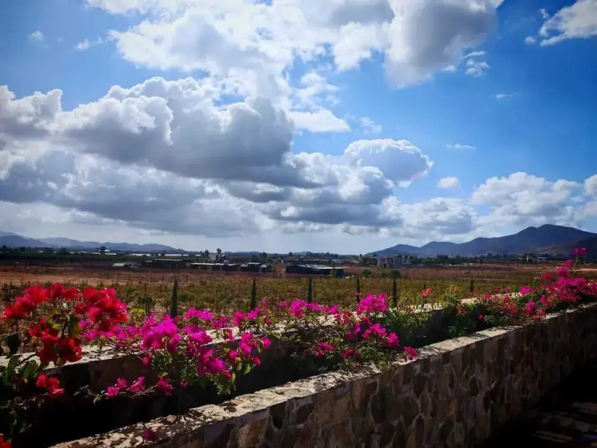 Hotel Flores de Sal