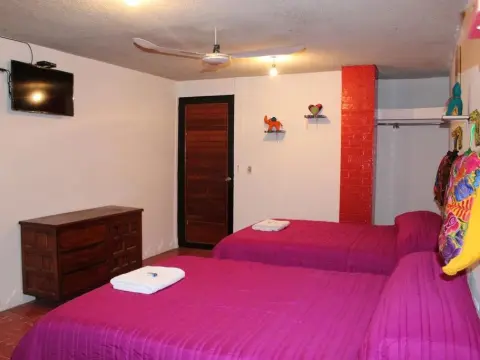 Hotel Frida Khalo - Photo 3