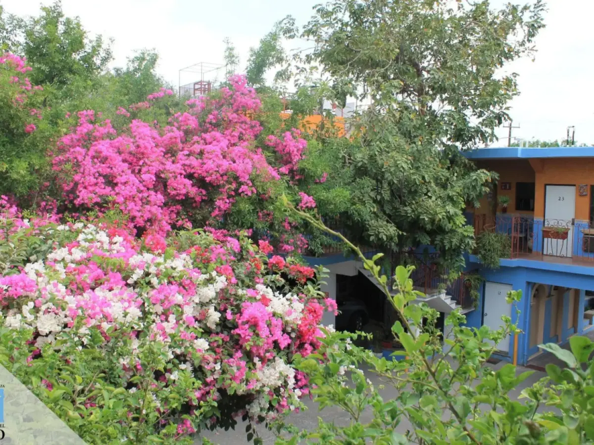 Hotel Hacienda del Viejo