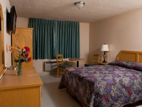 Hotel La Villa de San Quintin - Photo 3