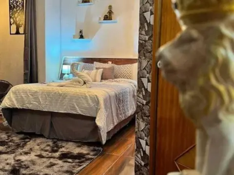 Hotel Los Diamantes - Photo 2