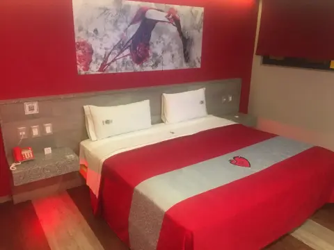 Hotel Nayarit - Solo Adultos - Photo 3