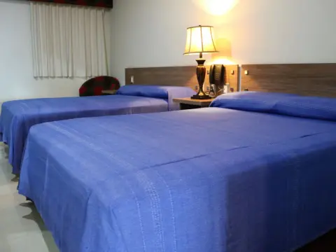 Hotel Palacio Rojo - Photo 3